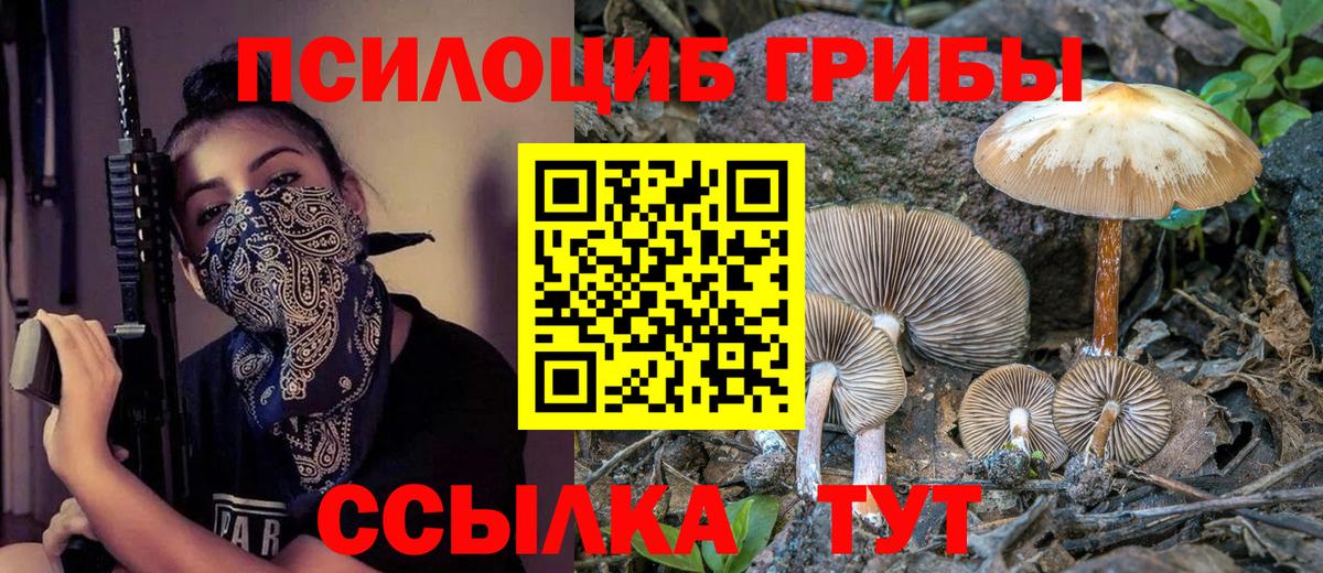 Псилоцибиновые грибы ЛСД Кострома